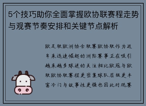 5个技巧助你全面掌握欧协联赛程走势与观赛节奏安排和关键节点解析